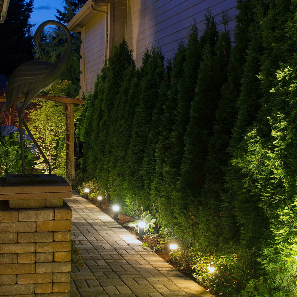 backyard-lighting-web-sq