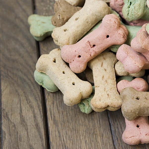 dog-treats-web Biscuits
