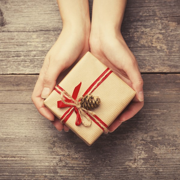 Hands holding gift box with pine cone